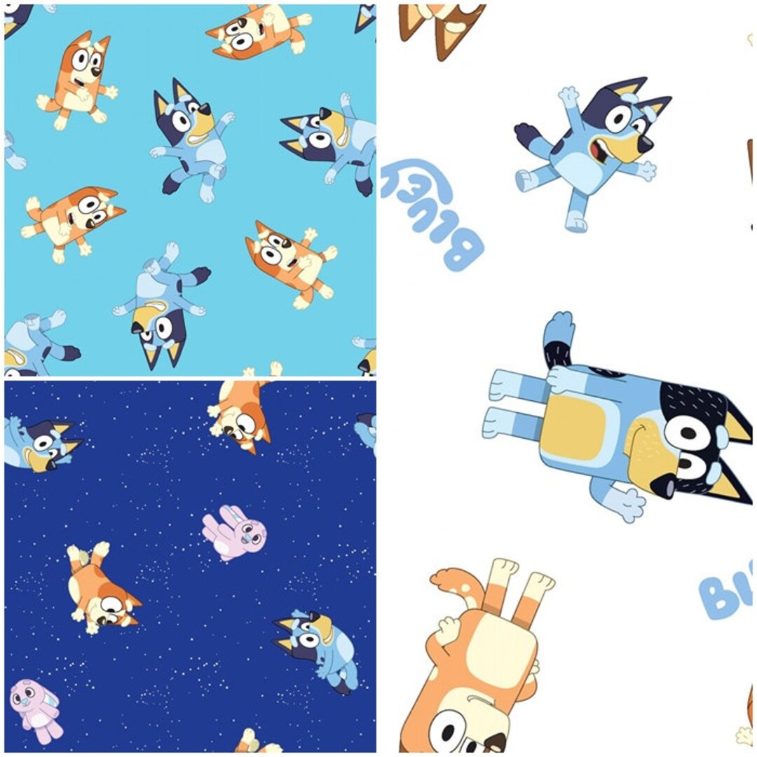 Slip Bambino BlueY & Bingo - Confezione Da 5, 100% Cotone, Licenza Ufficiale - Foto 3