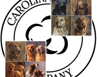 Dog Portraits 36" 100% Cotton Fabric Panels by David Textiles! Springer Spaniels, Golden Retrievers, Chocolate Lab, Black Lab, Yellow Lab