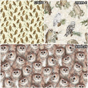 Owl Birds of Prey & Feathers 100% Cotton Fabric by QT! 3 Styles
