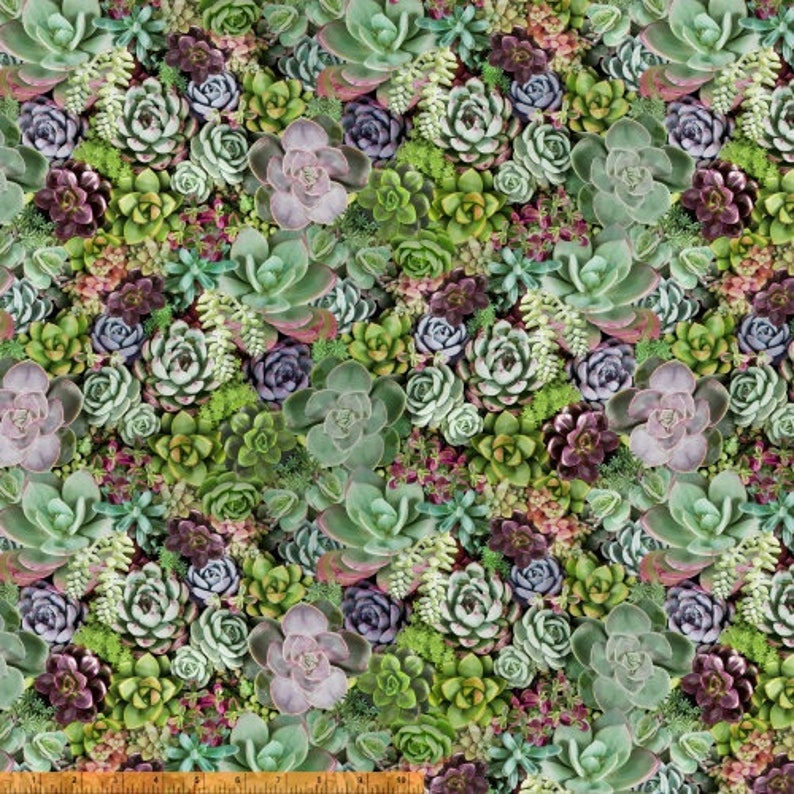 Desert Cactus Succulents Pots Garden 100% Cotton Fabrics 4 - Etsy