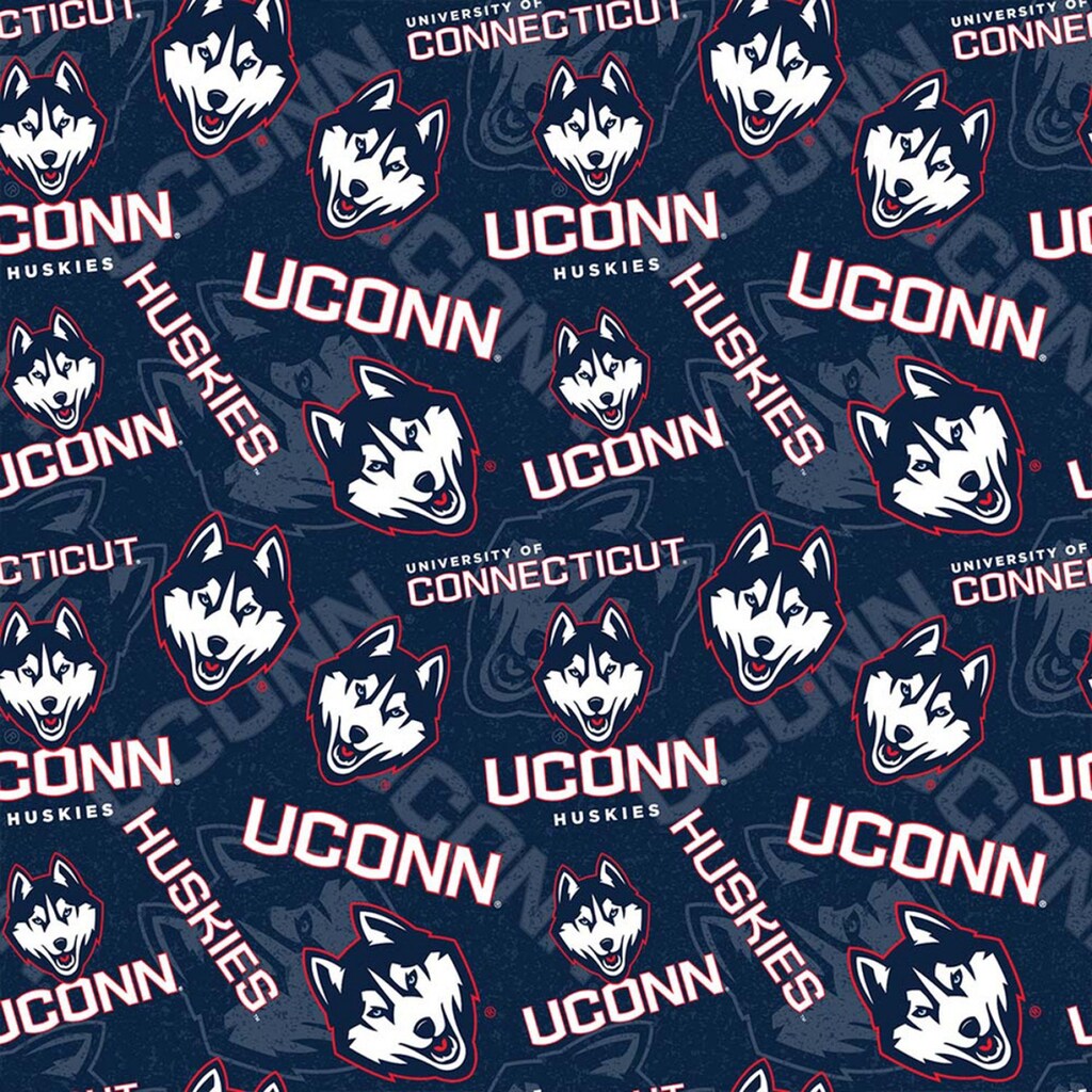 Gagliardetto Ufficiale UConn Huskies 2024 Campioni Nazionali - Feltro Morbido 30x76 Cm, Collezionismo NCAA Basket