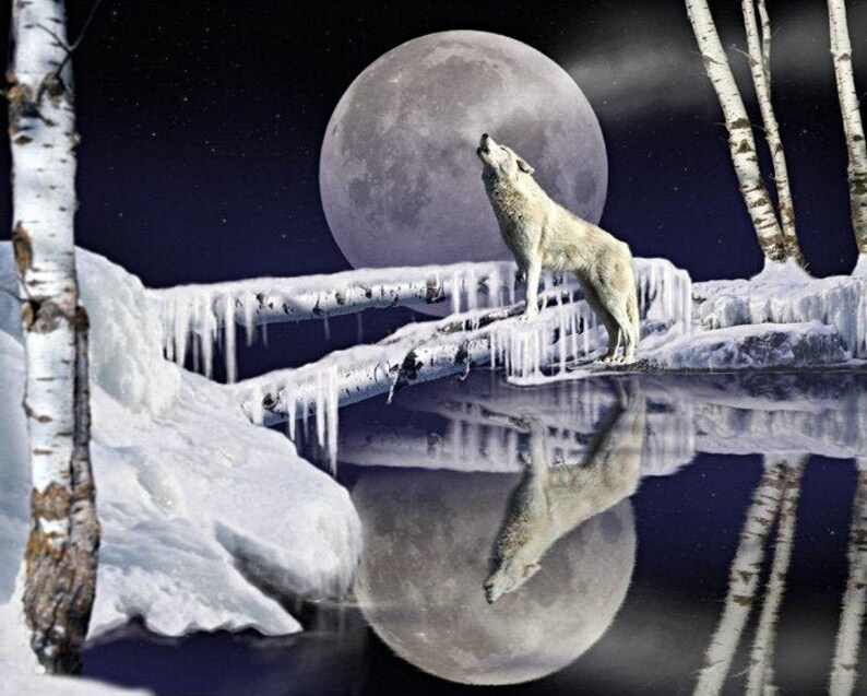 Wolf Song 4058 100/% Cotton Fabric Panel by David Textiles!