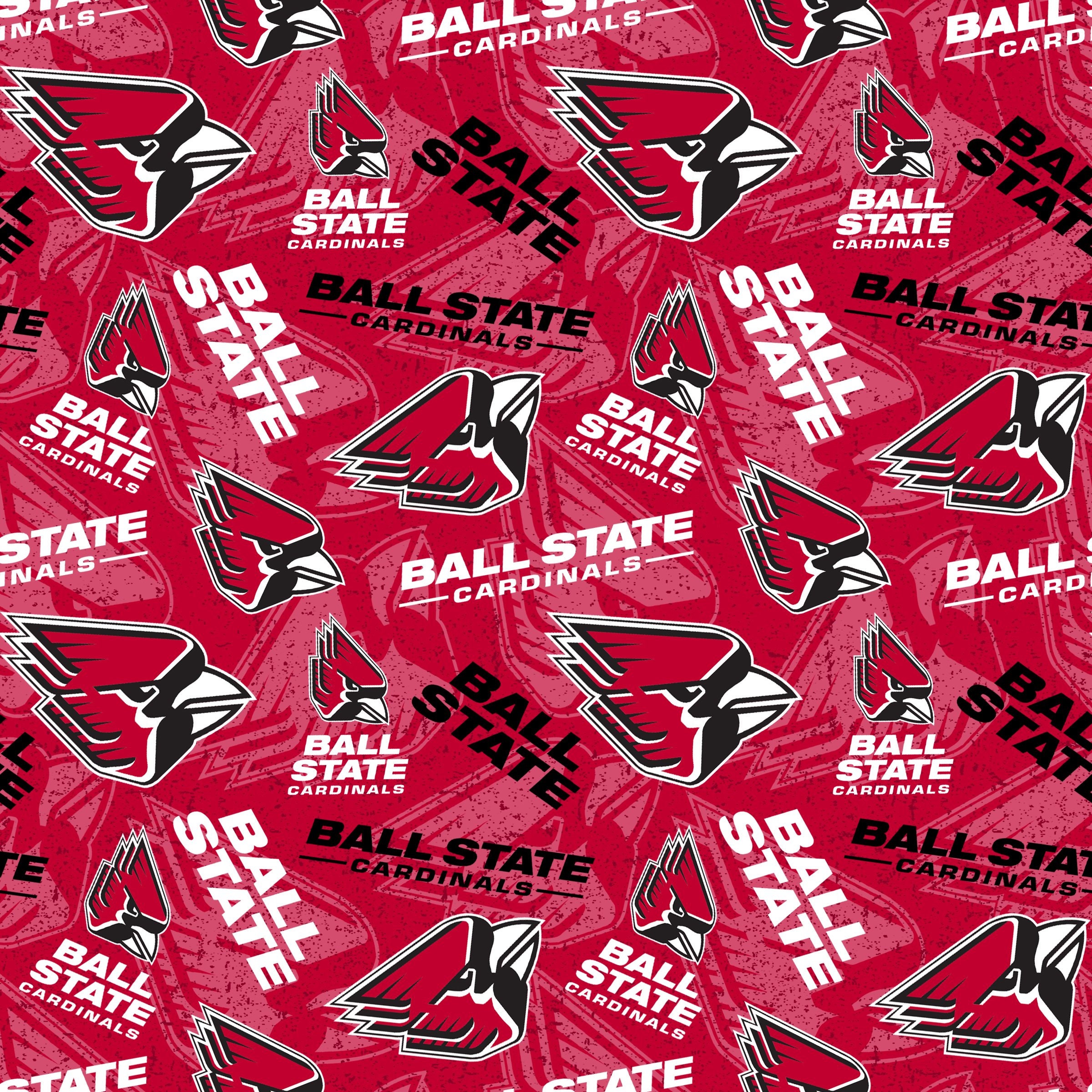  SYKEL ENTRPRISES University of Louisville Cardinals Cotton  Fabric, Red & Black - Sold by The Yard : Arts, Crafts & Sewing
