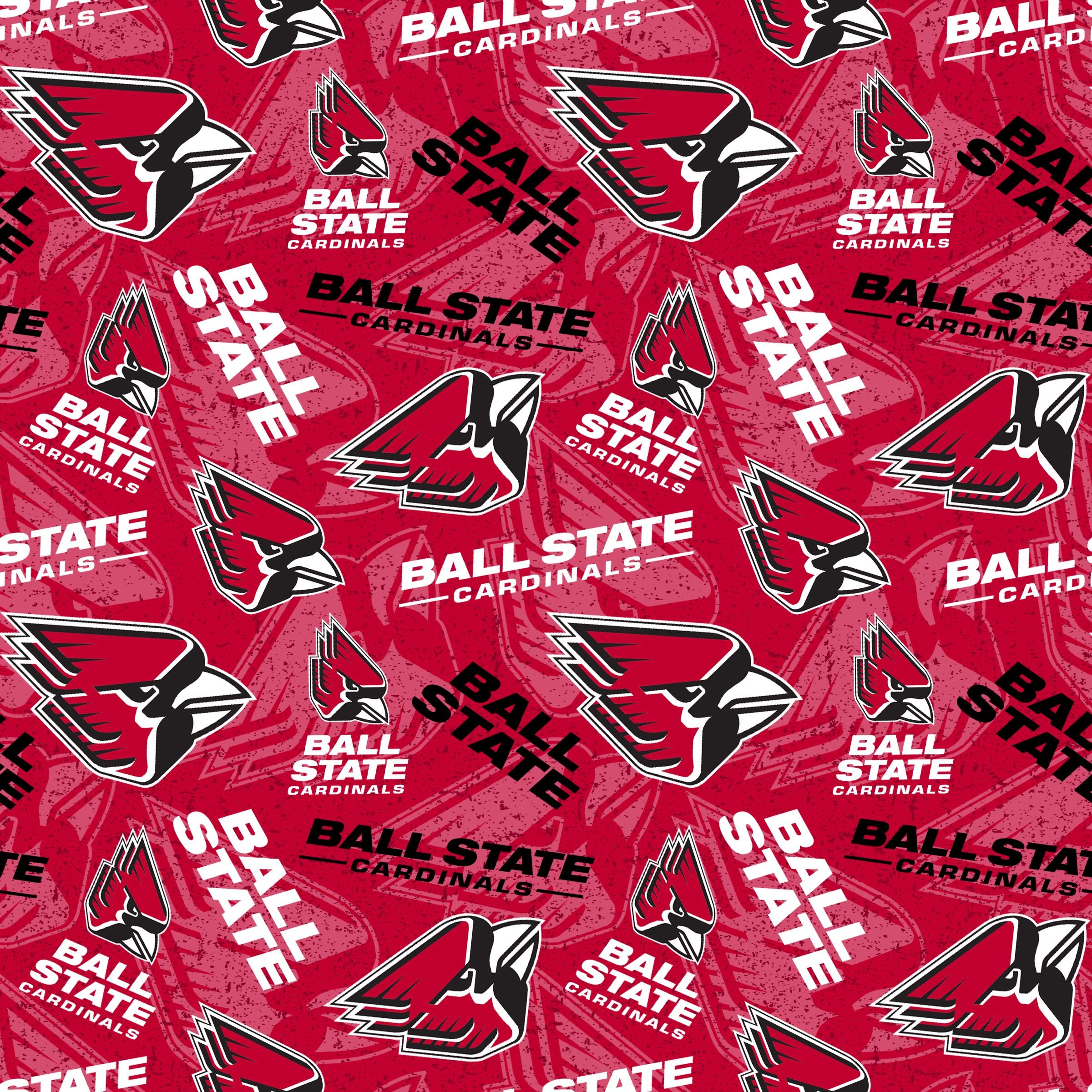 Ball State Canvas Etsy