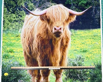Highland Cows 6636 Realistic 36" Panel 100% Cotton Fabric by David Textiles!