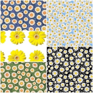 Daisy Flowers, Floral Spring Daisies 100% Cotton Fabrics! 5 Styles
