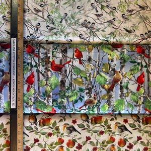 Cardinals, Robins, Chickadees, Birds, Trees, Floral 100% Cotton Fabric by Timeless Treasures! 3 Styles