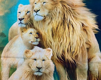 Lion pride before the fall ライオン写真集 Lion pride before the fall ライオン写真集 Lion pride before