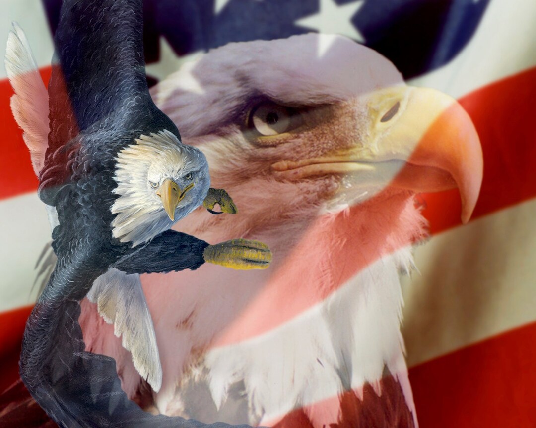Best of America Eagle Flying #3782, American Flag, USA, Patriotic 