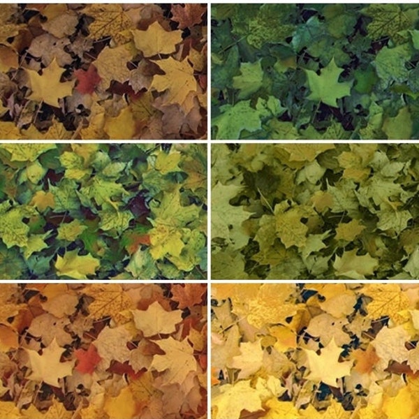 Open Air Landscape Nature Autumn Fall Spring Summer Leaves Plant Leaf #28103 100% Cotton Fabric by QT Fabrics! 6 Colors