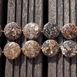 Turritella Agate 28-32mm round disc beads (ETB00336)