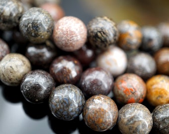 9mm Dinosaur Bone Fossil Round Beads,  (ETB01598)   Polished Utah Stone
