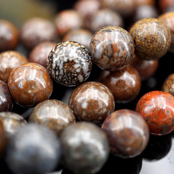 Dinosaur Bone Fossil round beads 10mm & 11mm (ETB01599)  Utah stone/Fossilized stone/Rarestone/Vintage jewelry/Healing power