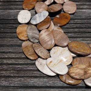 Puede incluir: Primer plano de un collar hecho de cuentas ovaladas de madera petrificada en tonos marrones, beige y blancos. Las cuentas est&aacute;n dispuestas en forma de semic&iacute;rculo sobre una superficie de madera oscura.