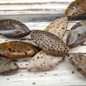 Mexican Picture Jasper 21-33mm Pebble Beads ETB00223 - Etsy Mexican Picture Jasper 21-33mm Pebble Beads ETB00223 - Etsy
