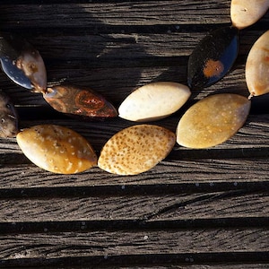 May include: A close-up of a necklace made of oval-shaped, natural stone beads. The beads are a mix of brown, beige, and white with a speckled pattern. The necklace is lying on a dark wooden surface.