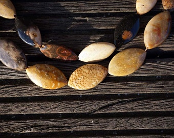 Fossilized Palm Wood marquise flat beads 11-13mm (ETB00522) Unique jewelry/Vintage jewelry/Gemstone necklace