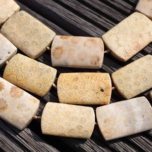 Könnte beinhalten: Nahaufnahme einer Halskette aus versteinerten Korallenperlen. Die Perlen sind hellbeige und haben ein Muster aus kleinen, kreisförmigen Vertiefungen. Die Perlen sind auf einer dünnen, braunen Schnur aufgefädelt.