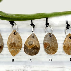 Petoskey Stone freeform pendants (ETP00293)