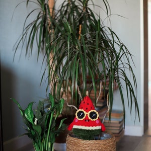 Puede incluir: Un juguete de peluche con forma de sand&iacute;a roja y verde con gafas de sol se sienta en una maceta de cesta tejida. La maceta es blanca con una banda de cuerda marr&oacute;n alrededor de la parte superior. Una planta verde frondosa est&aacute; en una maceta negra detr&aacute;s de la maceta.