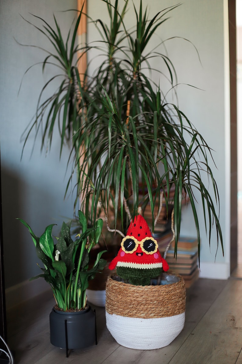 Puede incluir: Un juguete de peluche con forma de sand&iacute;a roja y verde con gafas de sol se sienta en una maceta de cesta tejida. La maceta es blanca con una banda de cuerda marr&oacute;n alrededor de la parte superior. Una planta verde frondosa est&aacute; en una maceta negra detr&aacute;s de la maceta.