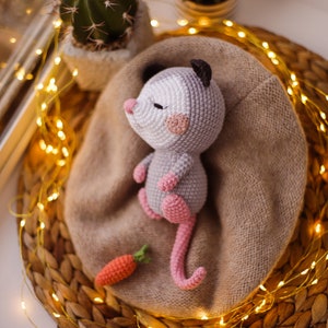 Opossum Crochet pattern baby  amigurumi mouse animal DIY