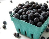 Five (5) Dozen Blue Green 1 Pint Berry Baskets Barn Wedding Favor Box Eco-Friendly Bulk Order Discount