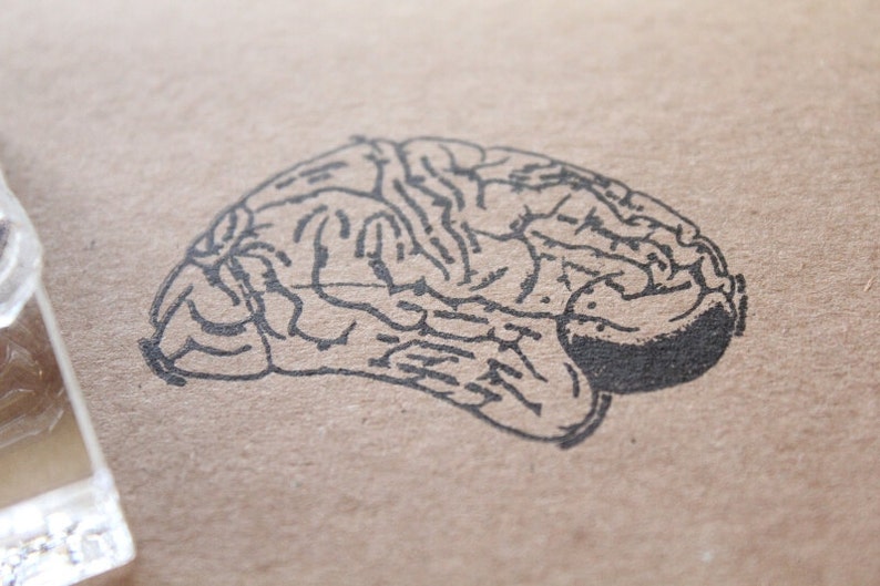 Brain Rubber Stamp 2x2 Inches Etsy