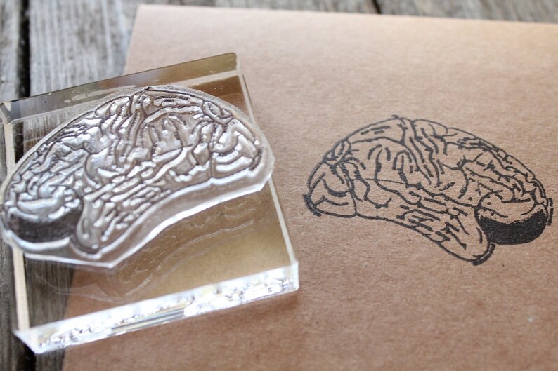 Brain Rubber Stamp 2x2 Inches Etsy