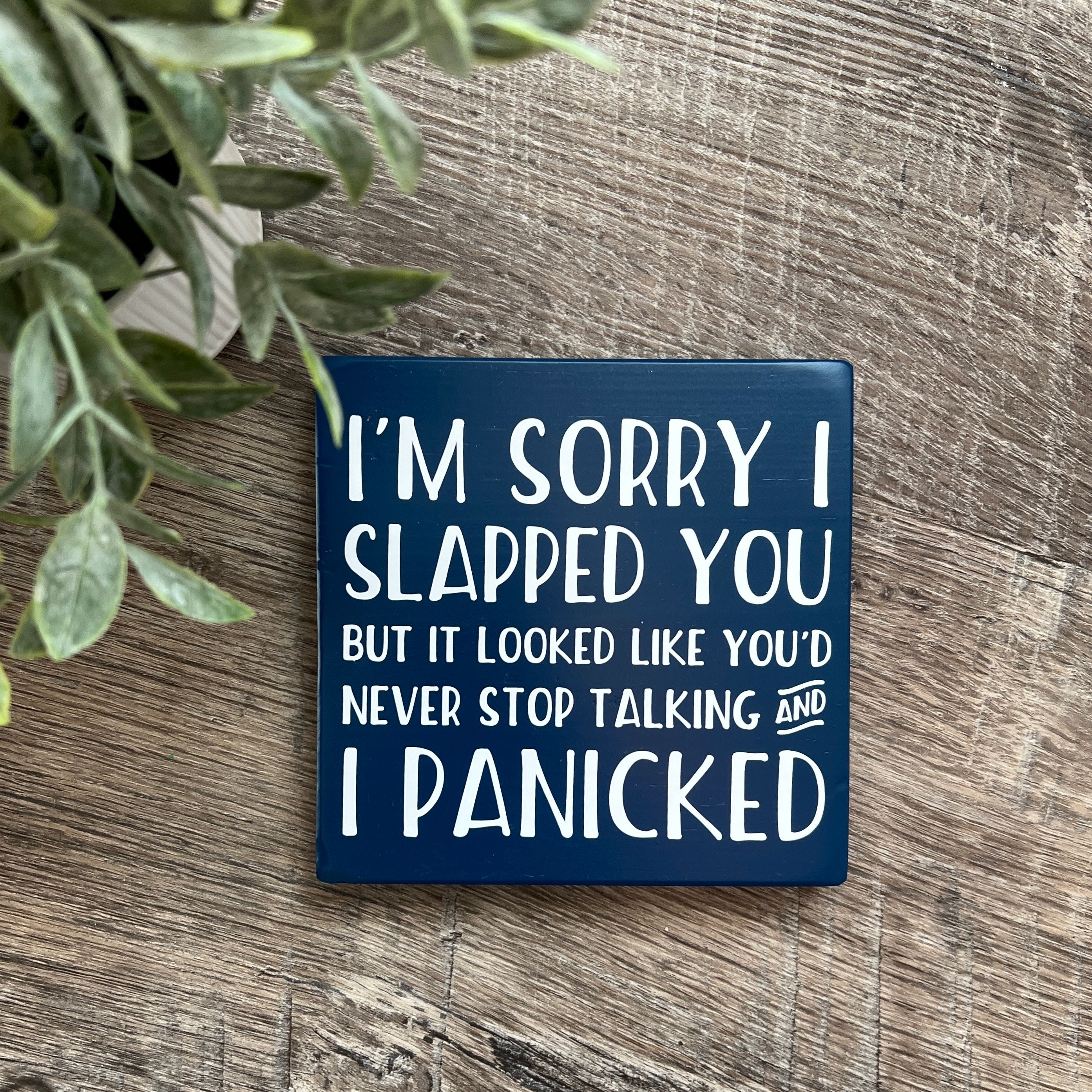 I'm Sorry I Slapped You Wooden Sign / Funny Sign / Tiered Trey