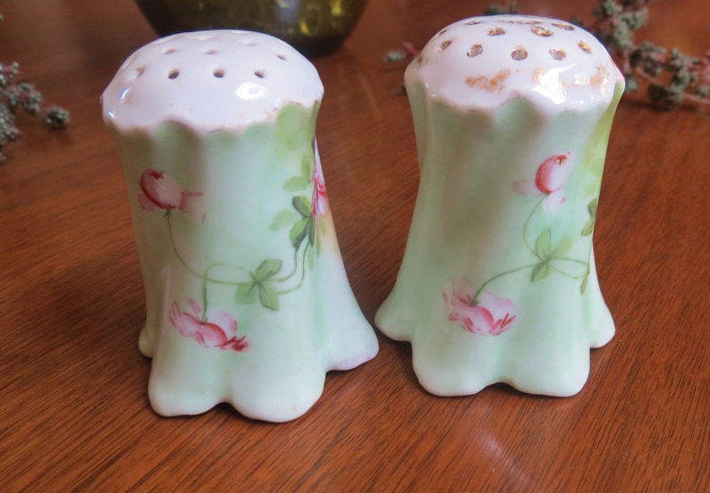 Vintage Cottage Chic Salt and Pepper Shakers Handpainted Roses