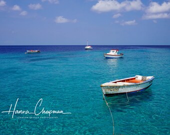 May include: Four white boats with red and blue accents are anchored in a turquoise blue body of water. The water is clear and shallow, with a bright blue sky above.