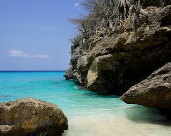 May include: A rocky beach with turquoise water and a bright blue sky. The beach is surrounded by cliffs and cacti.