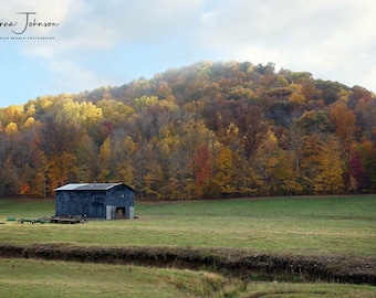 May include: A dark gray barn sits in a field with a backdrop of a hill covered in fall foliage. The leaves are shades of red, orange, yellow, and green.