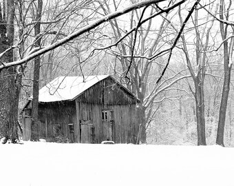 May include: A weathered wooden barn stands in a snowy forest. The barn has a single door and a window. The trees are bare and covered in snow.