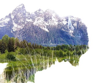 May include: A double exposure print shaped like a bison silhouette, featuring a snow-capped mountain range, a dense green forest, and a grassy wetland with tall blades of grass in the foreground. The text Hanna Chapman is visible in the center.