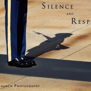 Soldier&#39;s Shadow at the tomb of the unknown soldier at Arlington National Cemetery