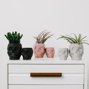 Large geometric skull planter, concrete skull, air plant vase,  succulent planter, pencil holder, makeup brush holder,