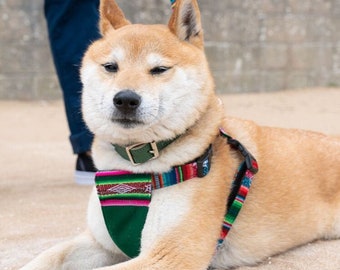 hipster harness for dogs