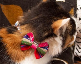 cute cat wearing coat and tie : r/nightcafe