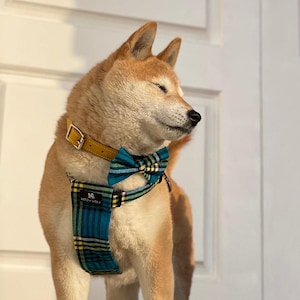 Shuka Blue Dog Harness