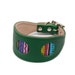 see more listings in the Hound Collars section