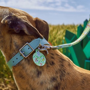 Emerald City Hound Collar image 6