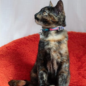 Mud Cloth Breakaway Cat Collar