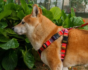 Inca Orange Dog Harness
