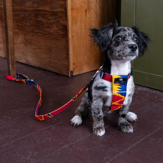 Dakar Dog Harness Etsy