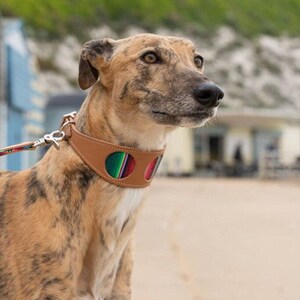 Inca Blue Hound Collar-Hound Collar-Hiro + Wolf