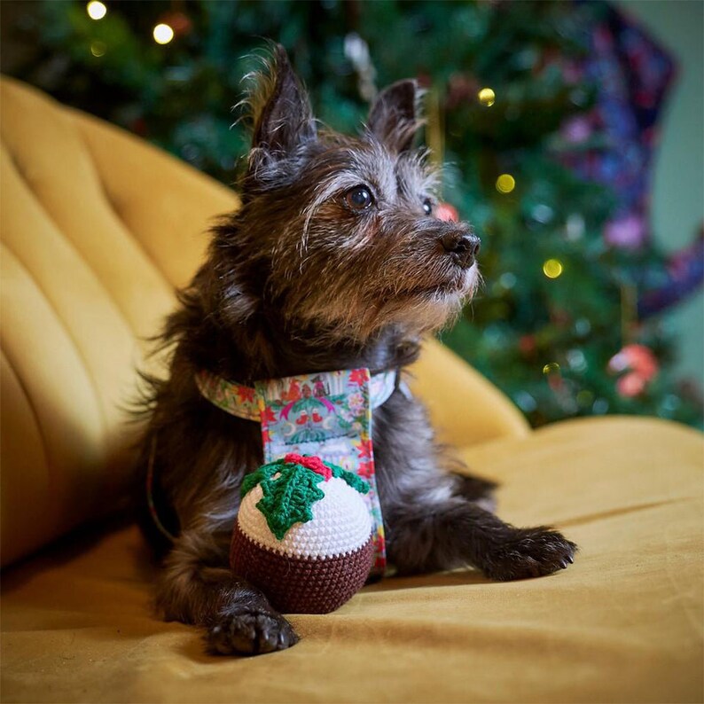 Christmas Pudding Squeaky Dog Toy-Hiro + Wolf