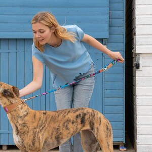 Inca Blue Hound Collar-Hound Collar-Hiro + Wolf