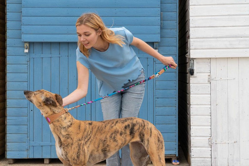 Inca Blue Hound Collar-Hound Collar-Hiro + Wolf